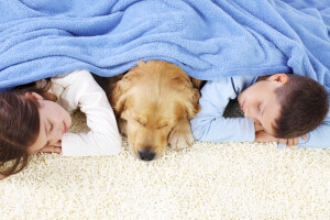 Kid and dog on carpet | Budget Flooring, Inc.