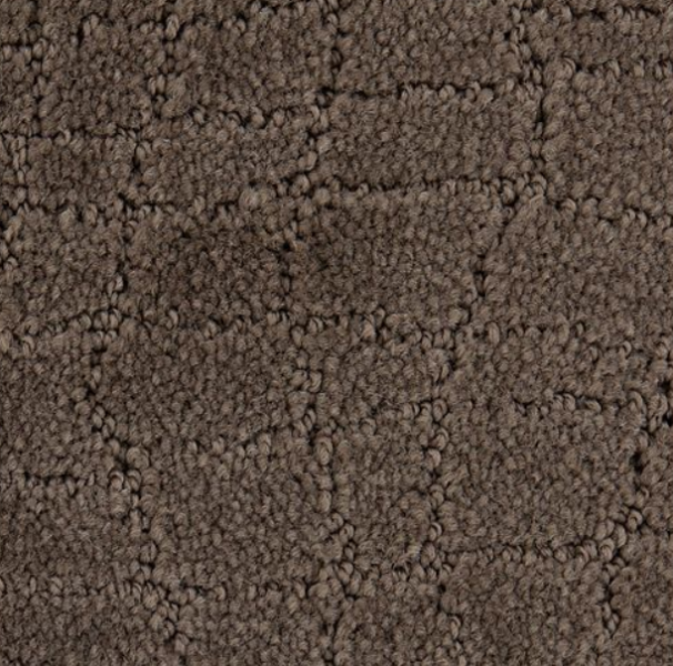 Posh Appeal carpet | Budget Flooring, Inc.