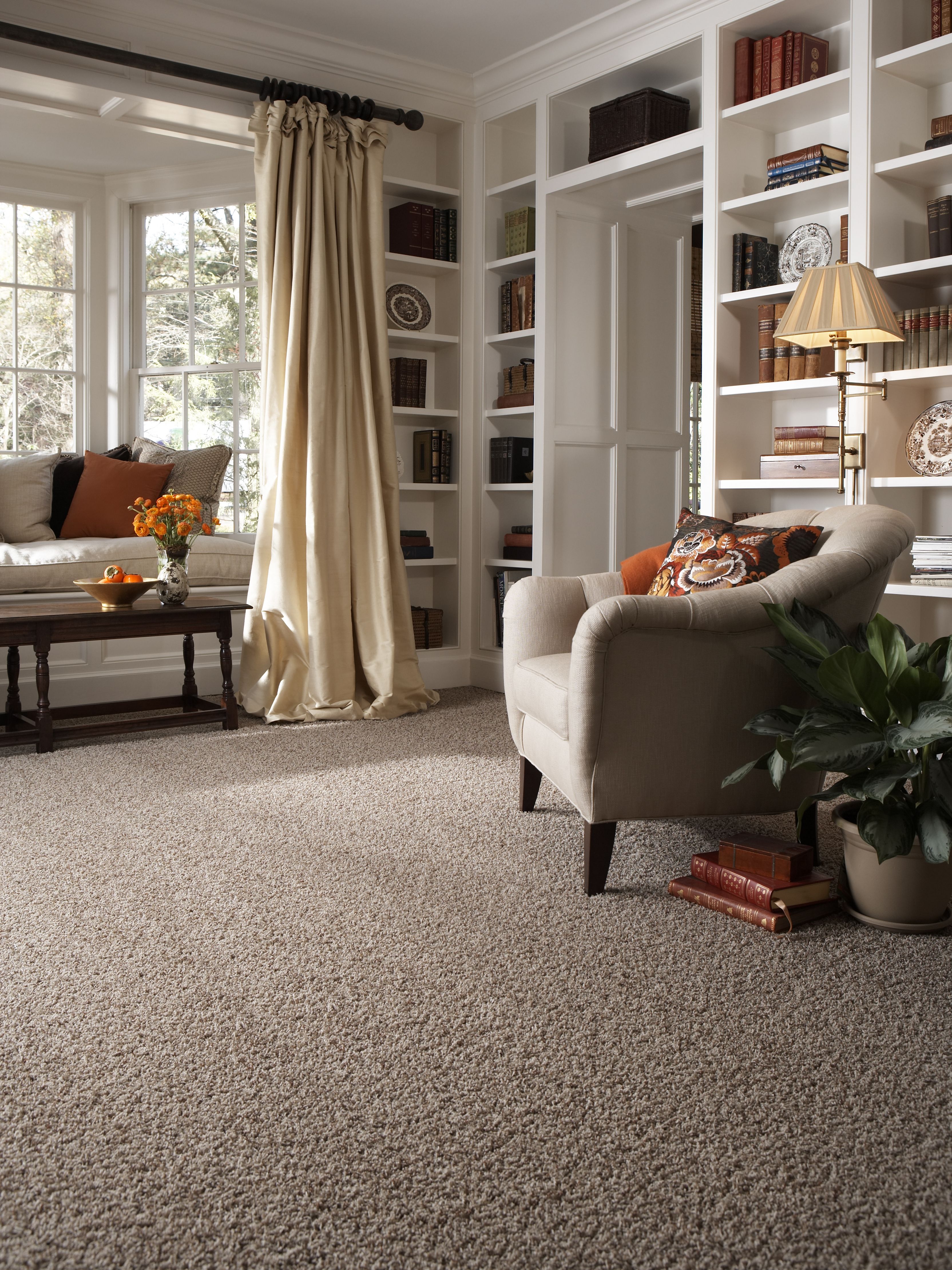 Carpet in living room | Budget Flooring, Inc.