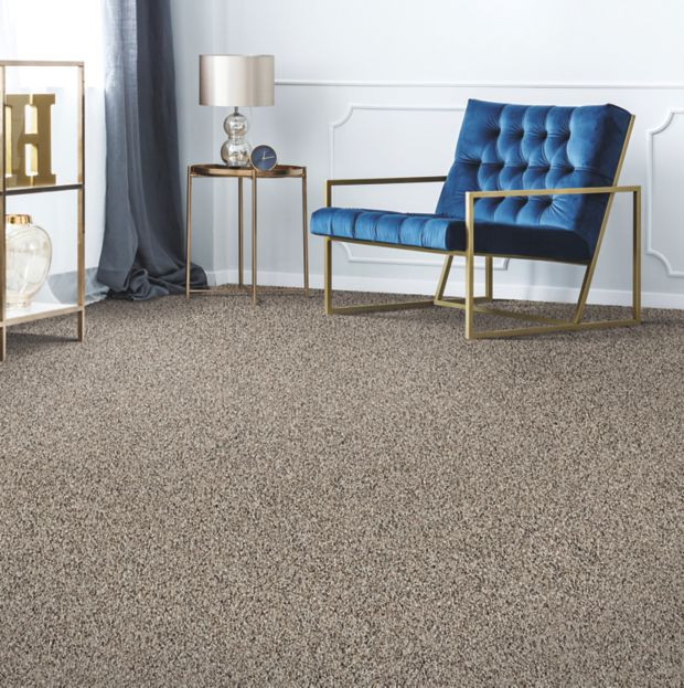 Remarkable carpet Vision | Budget Flooring, Inc.