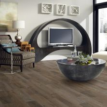 Shaw Floors Versalock Laminate Designer Choice Ashlee Gray 05009_SL086