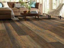 Shaw Floors Resilient Residential Titan HD Plus Autumn Barnboard 00689_2002V