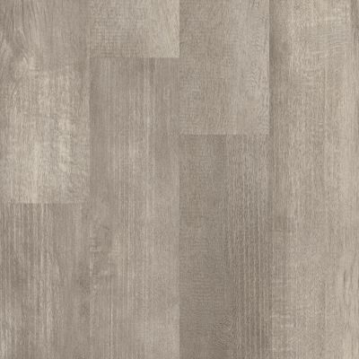 Shaw Floors 5th And Main Symbiotic 5.0 Fir 00174_5M308