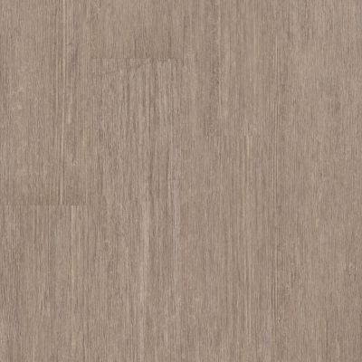 Shaw Floors 5th And Main Symbiotic 5.0 Flaxen 00216_5M308