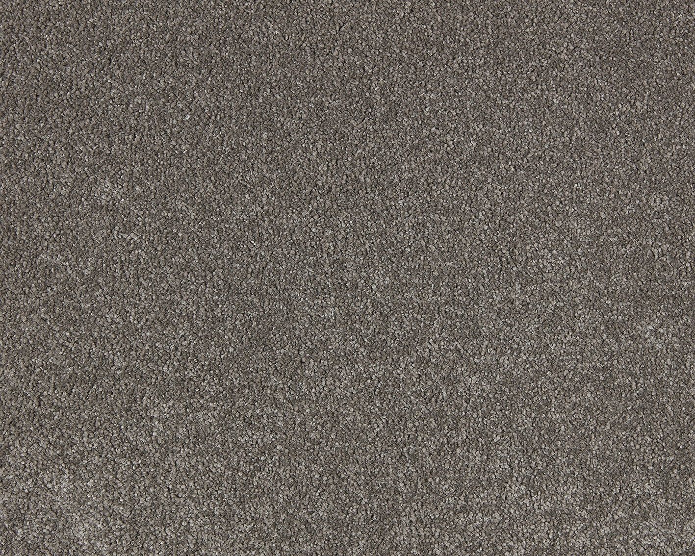 Soft distinction carpet flooring | Budget Flooring, Inc.